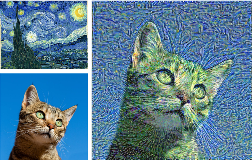 Style Transfer & Image Classification